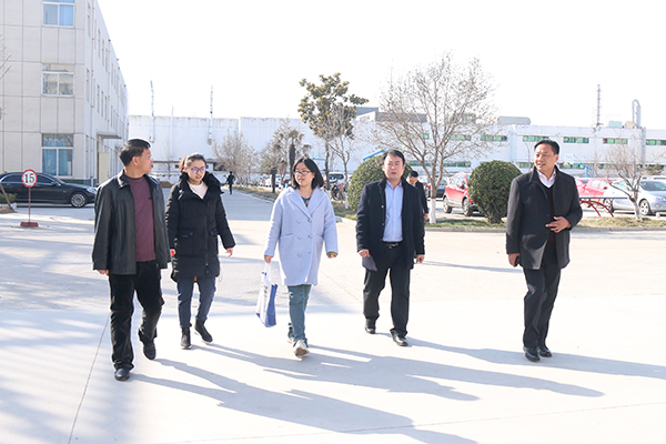 Warmly Welcome Personnel Department Leadership of High-Tech Zone To Visit Jining City Industrial And Information Commercial Vocational Training School For Assessment On-site