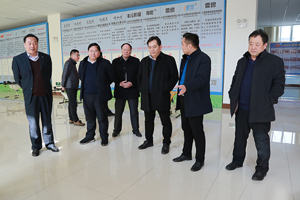 Warmly Welcome The Jining Energy Group Leaders To Visit The China Coal Group